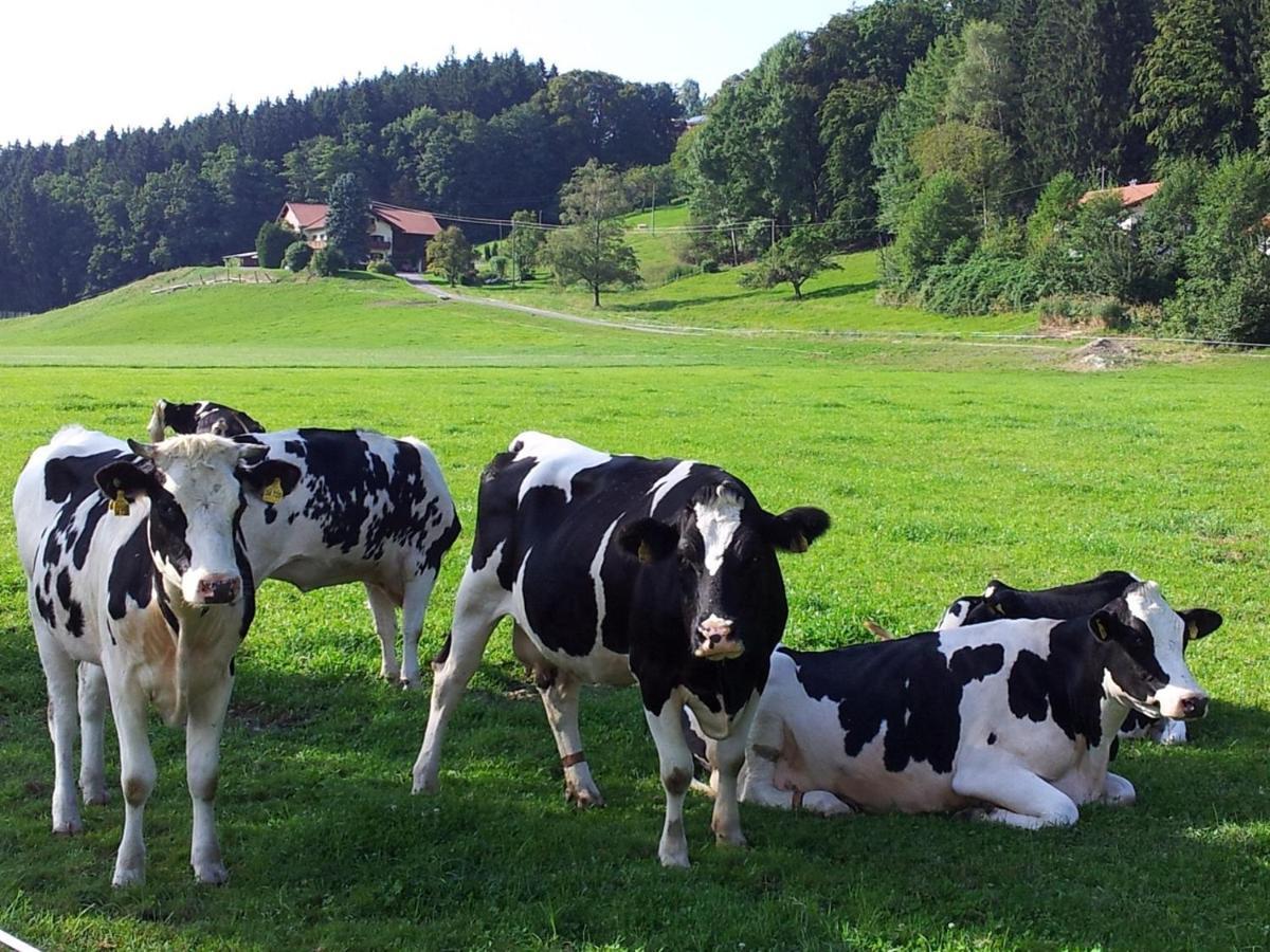 Zwischen Chiemsee Und Bergen Ug Bernau am Chiemsee Kültér fotó